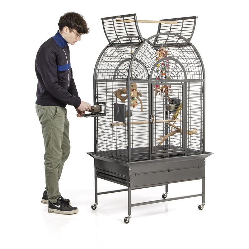 Bezpieczna klatka dla papug – poradnik zgodny z wymogami hodowców