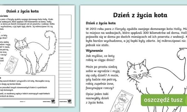 Cukier a zdrowie kotów: Co musisz wiedzieć przed podaniem słodyczy swojemu pupilowi