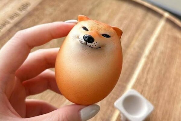 Czy pies może jeść jajka? Przewodnik po bezpiecznych porcjach i sposobach podania