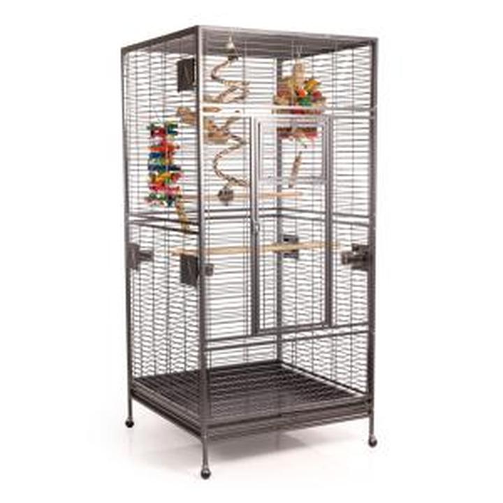 Idealna klatka dla nimfy: wymiary i wyposażenie, które zapewnią komfort twojemu ptakowi