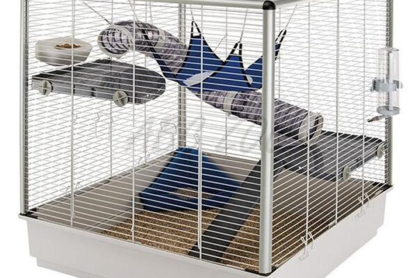 Jak stworzyć idealne warunki w klatce dla fretki, by cieszyła się komfortowym życiem?