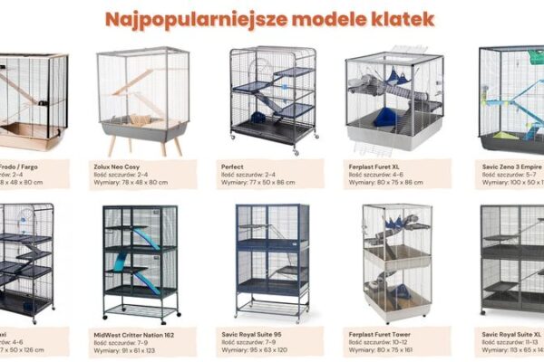 Najlepsza klatka dla szczura – kompletny poradnik wyboru i aranżacji dla Twojego pupila