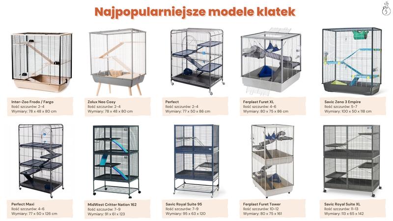 Najlepsza klatka dla szczura – kompletny poradnik wyboru i aranżacji dla Twojego pupila