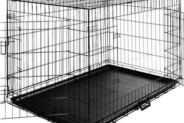 Przewodnik po budowie klatki dla psa w domu: krok po kroku od podstaw
