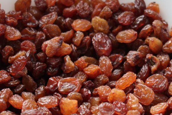 Rodzynki w diecie psa – jakie niesie to zagrożenia dla zdrowia twojego pupila?