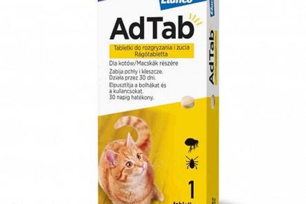 Sprawny sposób na podanie kotu tabletki na odrobaczanie bez stresu