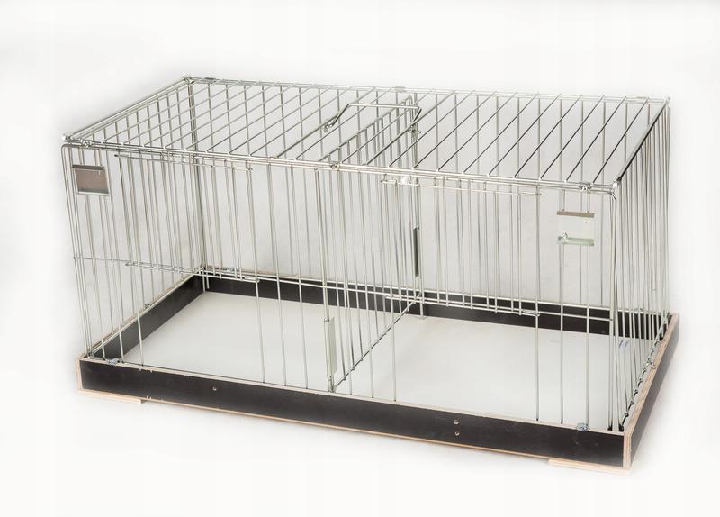 Stwórz idealną klatkę dla gołębi: prosty przewodnik budowy w domu krok po kroku