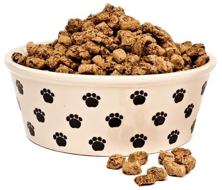 Dieta kotów i psów