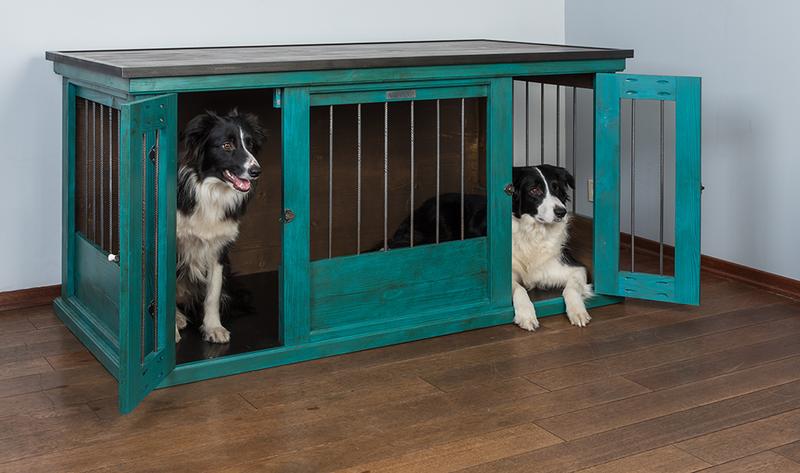 Komfort border collie