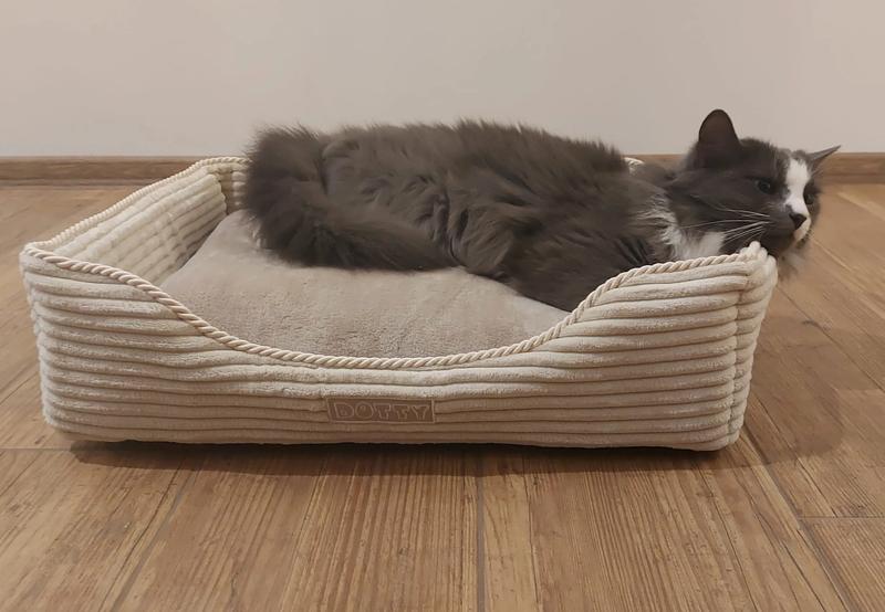 Kreatywny recykling odzieży