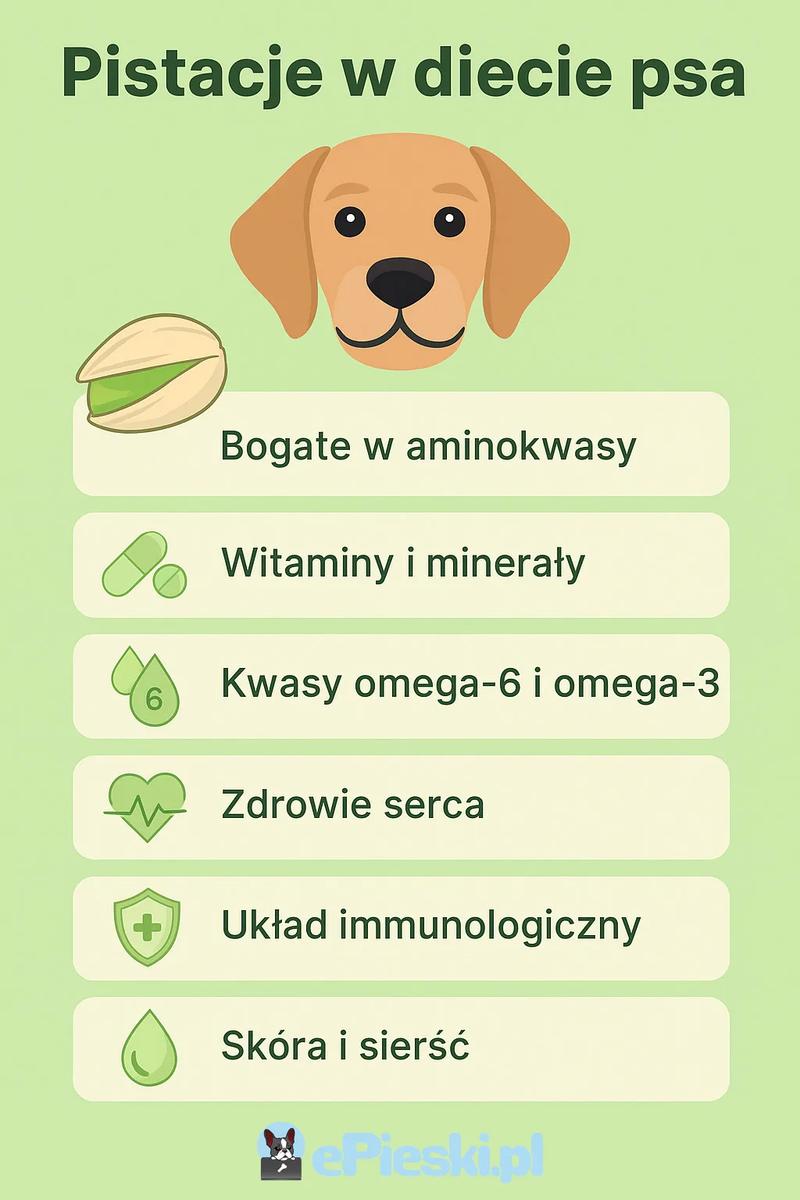 Pistacje w diecie psa