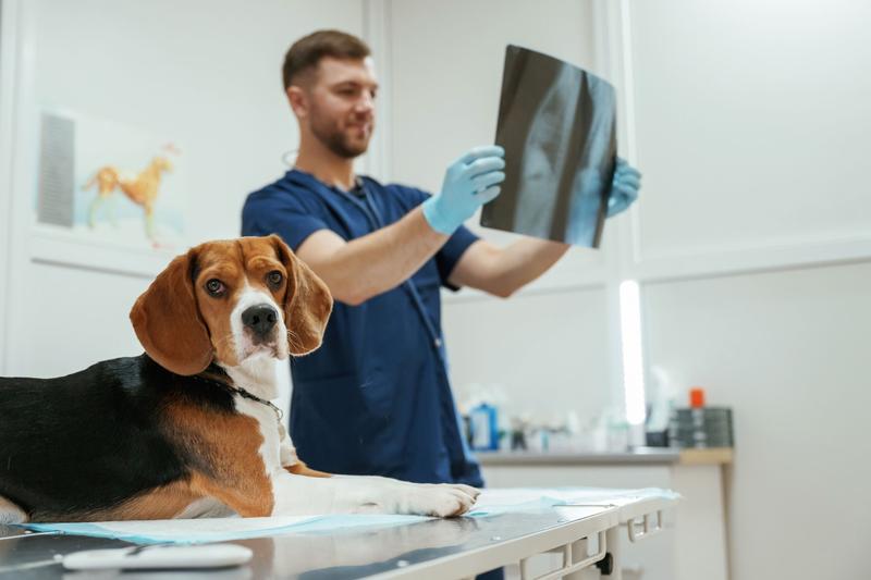 Planowanie wizyt kontrolnych