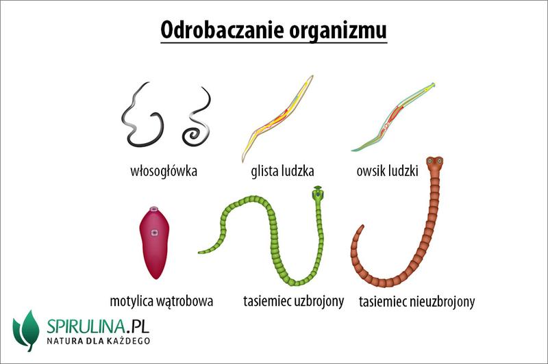 Unikanie niezdrowych pokarmów