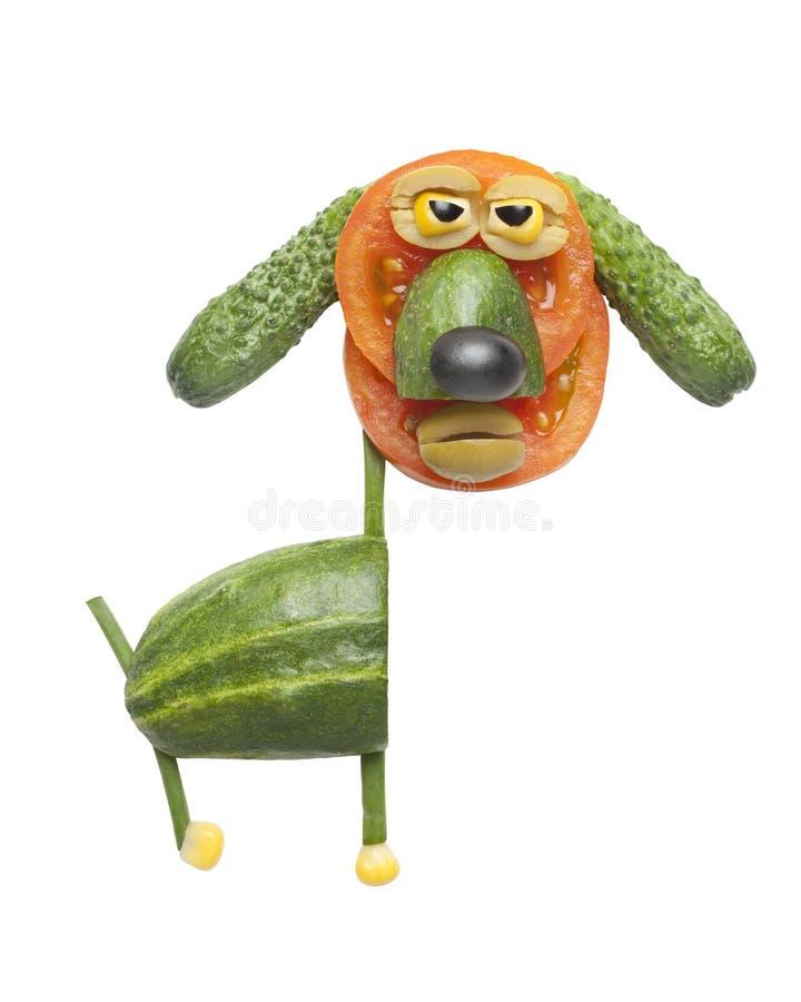 Wprowadzanie warzyw do diety psa