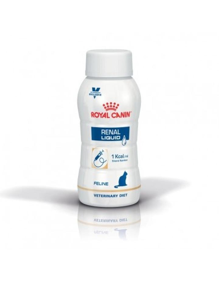 Zagrożenia podawania ryb kotom