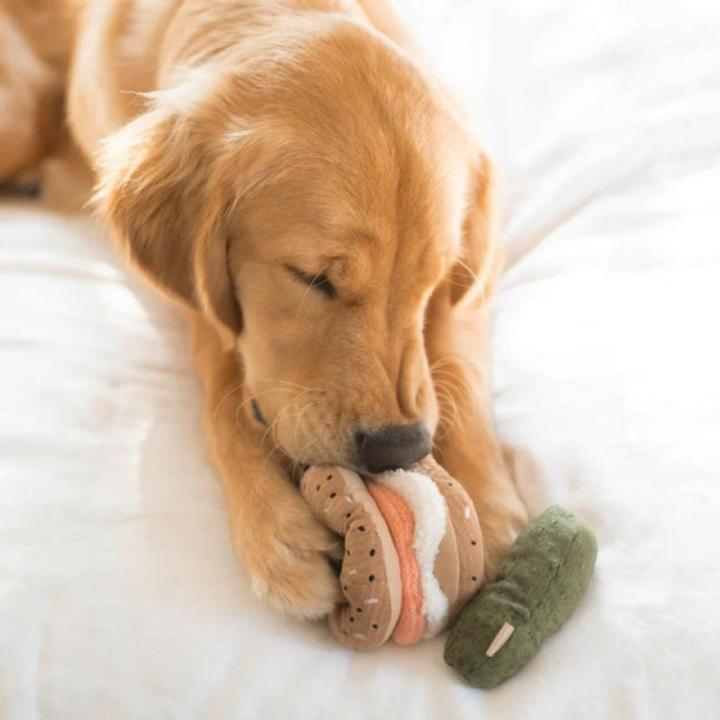 Zagrożenia związane z karmieniem psa