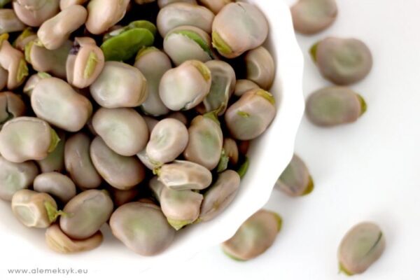 Czy pies może jeść bób gotowany? Oto, co warto wiedzieć o jego spożyciu!