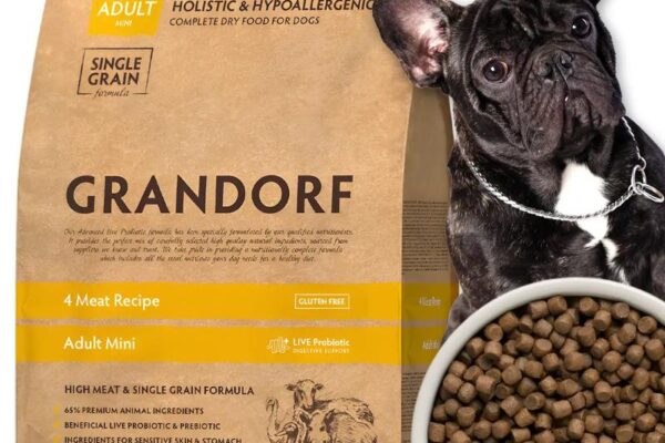 Czy szczeniak może sięgnąć po karmę dla dorosłych psów? Klucz do zdrowia pupila