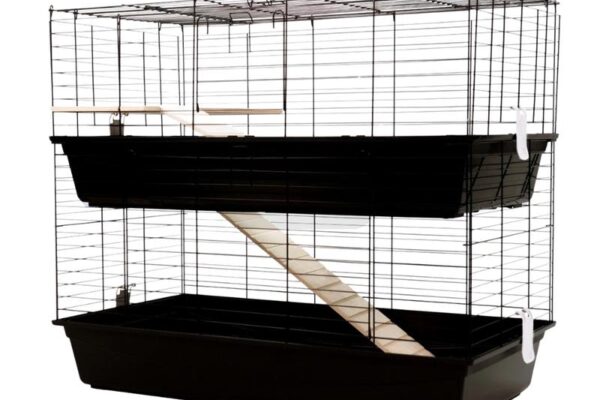 Idealne wyposażenie klatki dla świnki morskiej – komfort i bezpieczeństwo na pierwszym miejscu