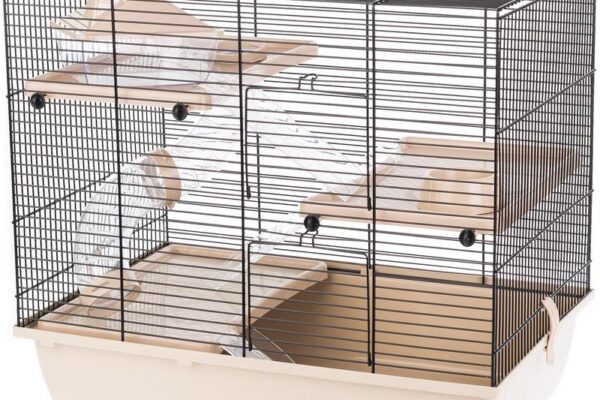 Ile kosztuje klatka dla chomika? Sprawdź aktualne ceny i kluczowe różnice w ofercie
