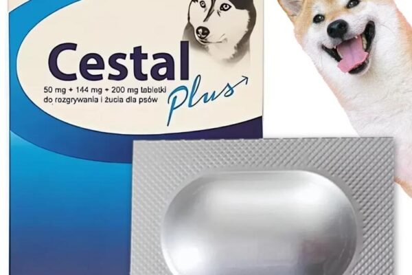 Jak zaoszczędzić na odrobaczeniu psa u weterynarza? Praktyczny przewodnik po kosztach!