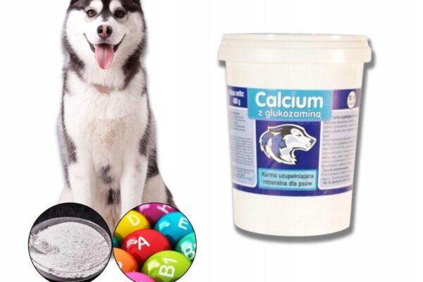 Wapno dla psa – sekret mocnych kości i zdrowia Twojego pupila