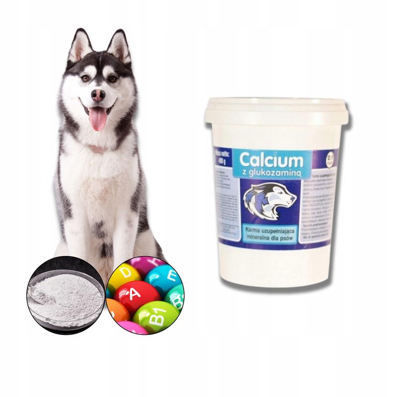 Wapno dla psa – sekret mocnych kości i zdrowia Twojego pupila
