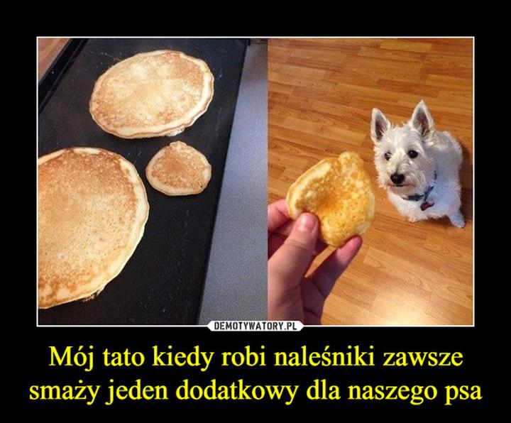 Naleśniki dla psa